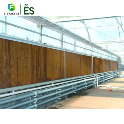 China Breeding Farm Honeycomb Evaporative Cooling Pad Wet Curtain For Greenhouse for sale