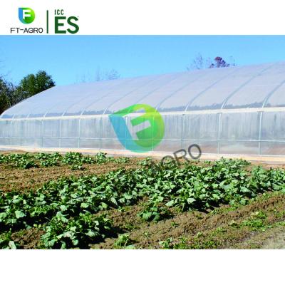 China High quality low cost poly planting poly tunnel greenhouse greenhouse and so on for sale for sale