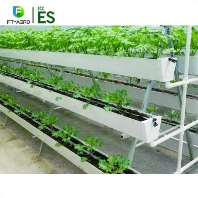 China Eco Friendly Agriculture Aquaponics Greenhouse With Complete System For Fish Breeding for sale