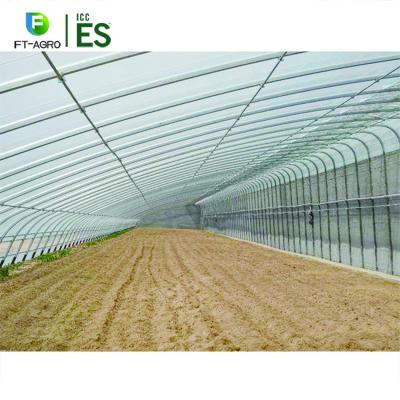 China Agricultural Greenhouse Single Tunnel Vegetable Greenhouse With Straight Mud Wall From China for sale