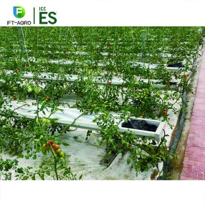 China Its Easily Assembled Hydroponic Systems Coconut Growing Planting Greenhouse for sale