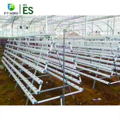 China Hydroponics Aquapoincs Growing System Plan Growth Flat Type For Vegetables Herbs Strawberries Peppers Lettuce for sale