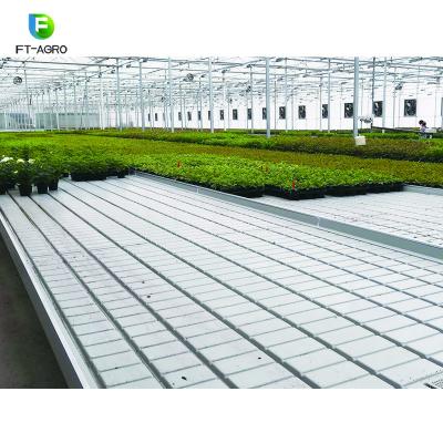 China High Quality Flower Vegetable Crop High Yield Seedling Tray Ready To Ship for sale