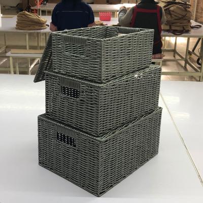 China Sustainable Free Basket Design Organizer Woven Basket Eco Friendly Woven Plastic Storage for sale