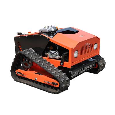 China 2023 New Anti-Slip Rise Cutting Widths 500 Mm Lawn Mower Remote Control Stop/Start Machine for sale