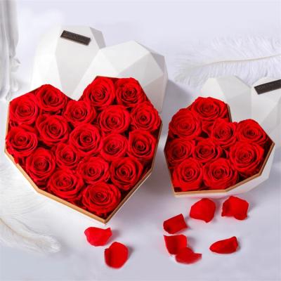 China Contact Wholesale Natural Preserved Rose Custom Eternal Save Rose Preserved Flower Roses For Heart Shaped Gift Box for sale