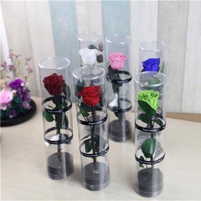 China New Natural Touch Wholesale Immortal Roses Choose PVC Rose Preserved Flower Gift Box for sale