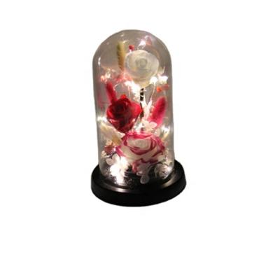 China Gift ; Surprise Artificial Perpetual Red Rose In Glass Globe With Preserved Lamp Rose In Glass Dome Light for sale