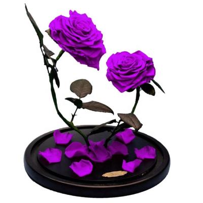 China Natural Contact Rose Preserved Flower Competitive Price Eternal Preserved Rose In Glass Dome for sale