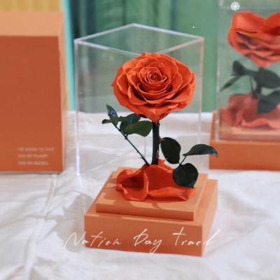 China Perpetual Flower Preserved Flower Prince Clear Acrylic Gift Box Small Rose Valentine's Day Christmas Preserved Roses In Gift Box for sale