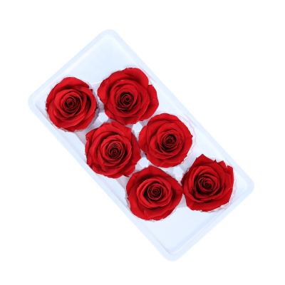 China Perpetal Flower Preserved Roses Head 5-6cm Wholesale Eternal Preserved Plant Flower Box for sale