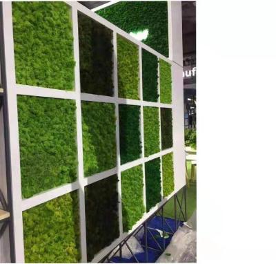 China Natural Contact Stabilized Reindeer Preserved Moss Grass Moss Wall For Decoration Wall for sale