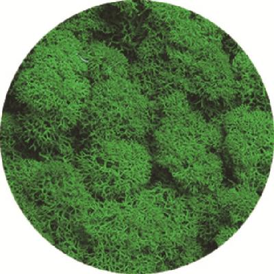 China Perpetal Flower 200g Stabilized Moss Preserved Moss Natural Moss Wall for sale