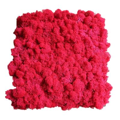 China Perpetual Flower Home Decor Wall Preserved Moss Wall Fireproof Foam Box Wholesale Home Decoration for sale