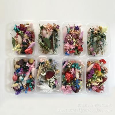 China Aromatherapy Immortal Candle Flowers Dry Floating Flower Dried Flower Blossom Material Fragments DIY Flower Head for sale