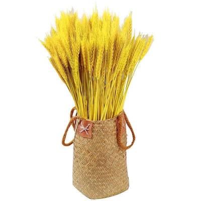 China Yunnan preserved flowers wheat natural golden ear dried flower bouquet decorative ornaments 01 for sale