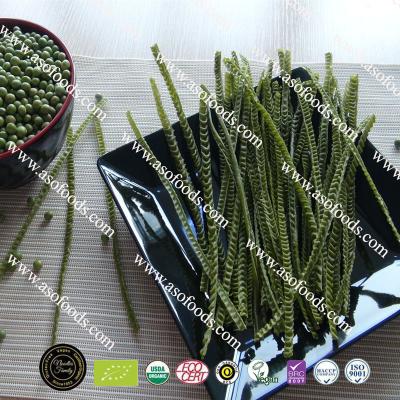 China Pea Gluten Free Organic Pea Gluten Free Vegan Packaged Dry Bean Noodles Pasta Fettuccine Nodels Products Production Line Price for sale