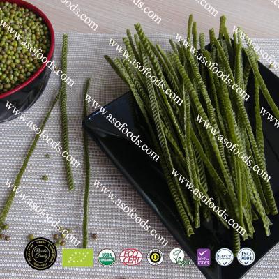 China Food Packaged Gluten Free Organic Green Bean Mung Bean Nudels Vegan Noodle Pasta Fettuccine Nodels Products Production Line for sale