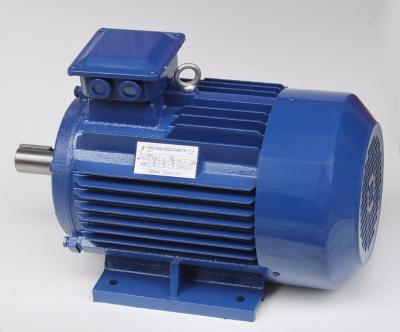 China Factory Price 4 Pole 55KW Totally Enclosed Three Phase AC Induction Motor for sale