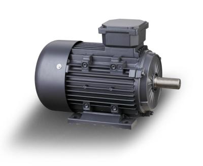 China Totally Enclosed YE3 Premium Efficiency 2900 RPM 1.1KW 3 Phase AC Induction Electric Motor for sale