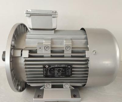 China YE2 Series 0.18-200kw Totally Enclosed Three Phase Induction 380V 50hz Motor Price for sale