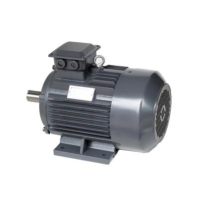 China Totally Enclosed 8 Series 45kw Three Phase Pole Induction Electric Motor YE2 for sale