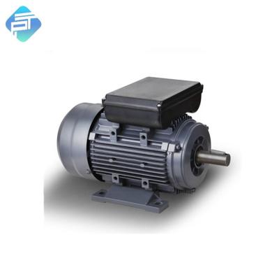 China ML 2 Pole 1.1kw Condenser Start Totally Enclosed Electric Motor 1.5hp 220V 50hz Single Phase for sale