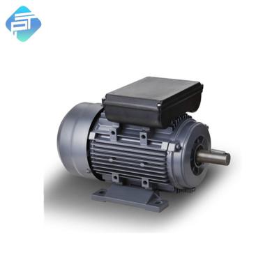 China Totally Enclosed MY 4 Pole 0.75kw Single Phase AC Induction Motor for sale