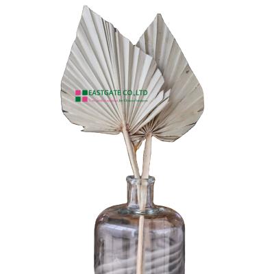 China Wholesale Home Decor Hand Fan Small Dry Grass Nature Plant Decoration Palm Leaves for sale