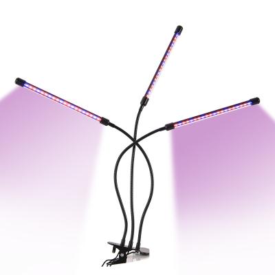 China Seed starting 3500k 301h lm301h pre assembled full spectrum lamp quantum spider sf 1000 lm301b led to grow light for sale