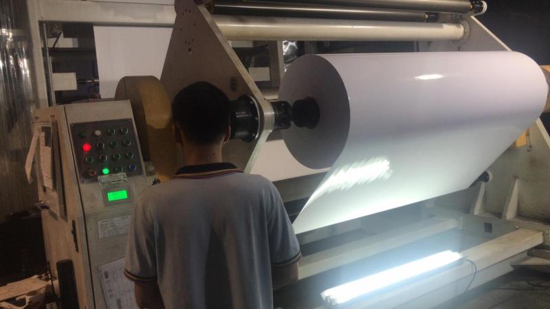 Fornitore cinese verificato - Foshan Chris V.G Printing Consumables Co., Ltd.