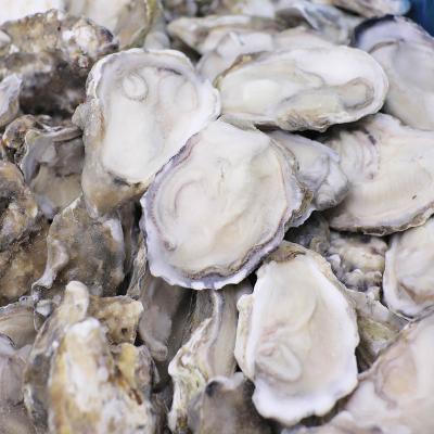 China Hot Sale Organic Half Shell Pacific Oyster Bulk Style Frozen Packaging Gap Color for sale