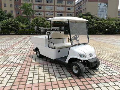 China Compact Electric Cargo Car , 2 Seater Electric Car With 2pcs Rear View Mirror for sale