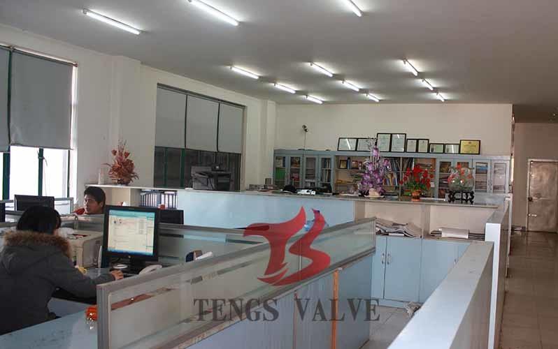 Fornitore cinese verificato - Tengs Valve International Limited