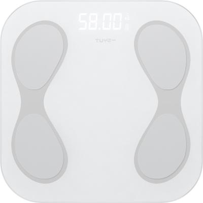 China Promotional Wifi Body Fat Scale Radio Mini LED Connect App Body Fat Scale for sale