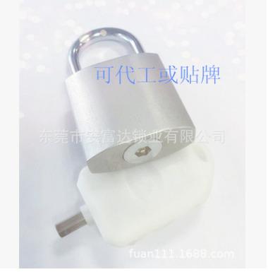 China All kinds of furniture cabinets provide high quality smart padlock (smart patrol lock) for sale