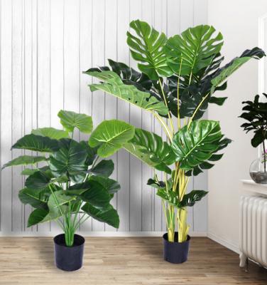 China Artistic Wholesale Plastic Artificial Plants And Trees In Different Size For Indoor House for sale