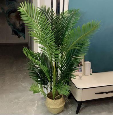 China Artistic Wholesale Plastic Artificial Plants And Trees In Rental Company Wholesale Price for sale