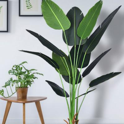 China Artistic Chinese Plant Plastic Hotel And Restaurant Artificial Plants And Trees With Wide Leaf for sale