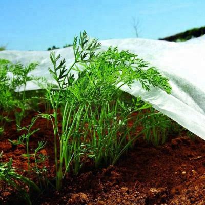 China Anti-bacteria UV agriculture spunbond pp woven fabric landscape fabric eco friendly weed control mat for sale