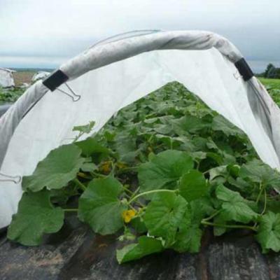 China Landscape Polypropylene Anti-Bacteria Weed 100% Grass Non Woven Fabric Anti Mat Agriculture Pp Nonwoven Fabric for sale