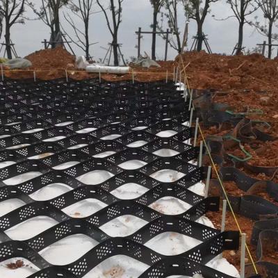 China High Strength HDPE and PCA Slope Stability Geocell for Vietnam market for sale