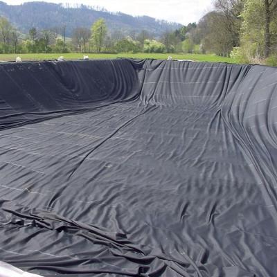 China Widely Used Superior Quality Pond Liner Geomembrane zu verkaufen