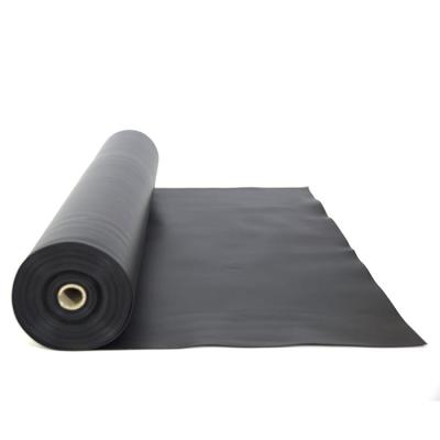 China 1.0mm 2.0mm HDPE LDPE Plastic Geomembrane for Pond Landfill Water Tank Root Barrier en venta