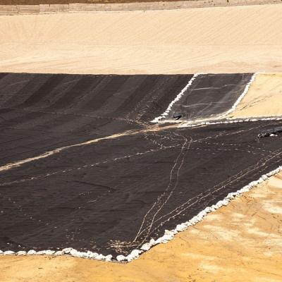 China China Supplier 0.75mm 1mm 2mm HDPE Geomembrane with Low Price for sale