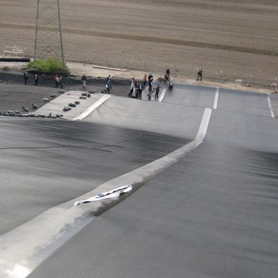 China 500 microns HDPE Geomembrane Fish Farm Pond Membrane zu verkaufen