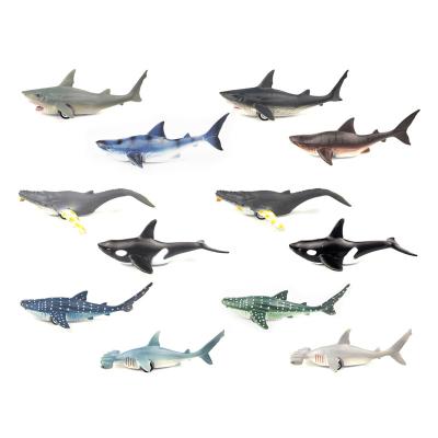 China Friction Toy EPT 12Pcs Ocean Pull Back Animal Dolphin Toy Sea Animals Toy Car Toddler Car Toys for sale