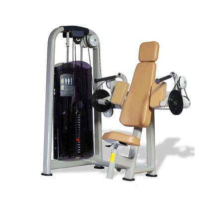 China 50*100*3.0mm Flat Oval Steel Tube Commercial Fitness Equipment Tricep Press Machine for sale