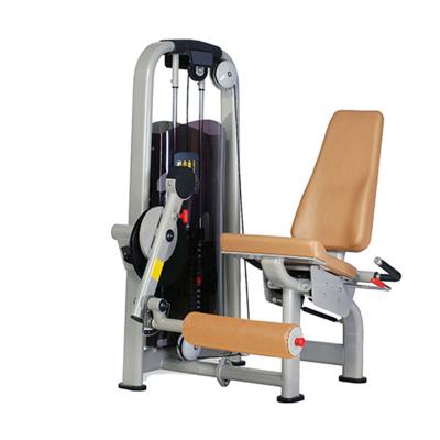 China 50*100*3.0mm flat oval steel tube fitness commercial equipment seated leg extension for sale for sale