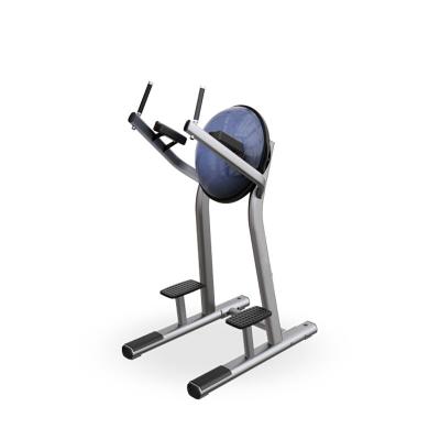 China 50*100*3.0mm Flat Oval Steel Tube Club Gym Fitness Equipment Leg Raise Machine for sale